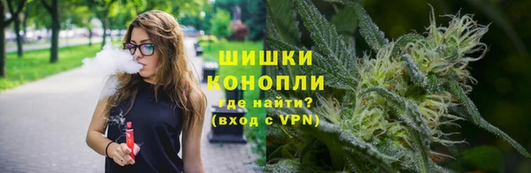 дмт Белокуриха