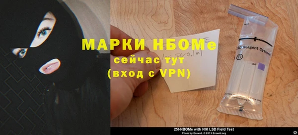 шишки Белоозёрский