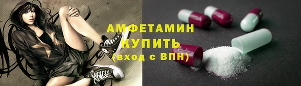 шишки Белоозёрский