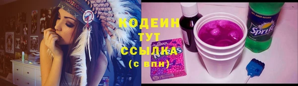 шишки Белоозёрский