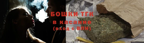 шишки Белоозёрский