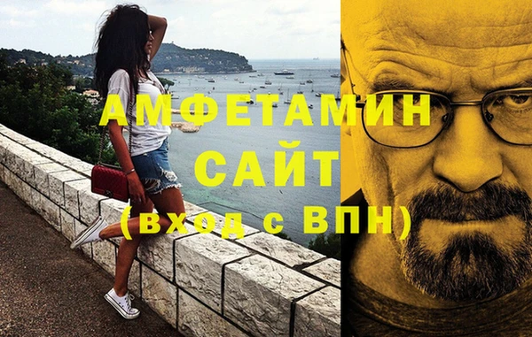 шишки Белоозёрский