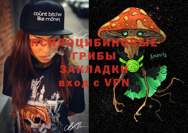 шишки Белоозёрский