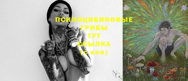 шишки Белоозёрский