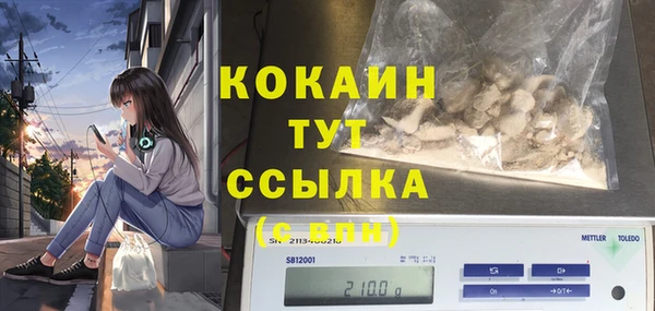 дмт Белокуриха