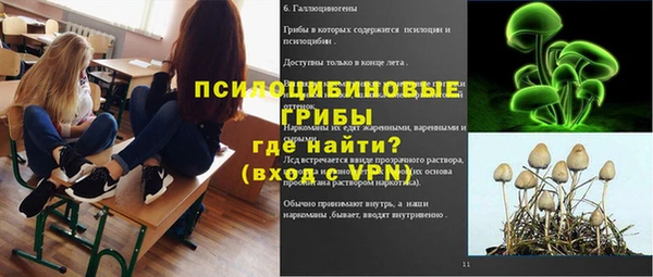 шишки Белоозёрский