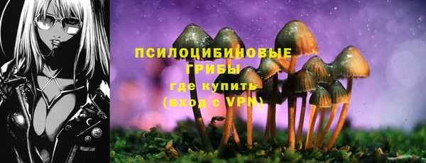 дмт Белокуриха