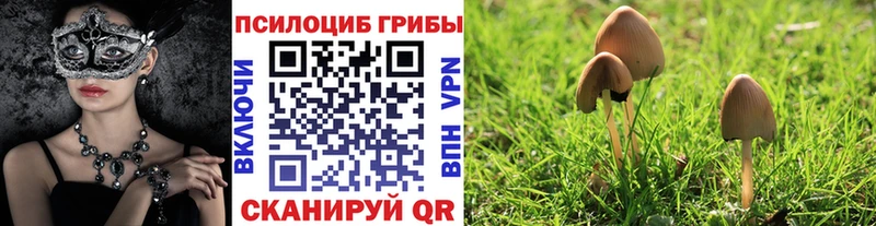 Галлюциногенные грибы мухоморы ссылка на мегу вход Верхний Тагил